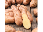 Pink Fir Apple Seed Potatoes (Maincrop - 1 kg)